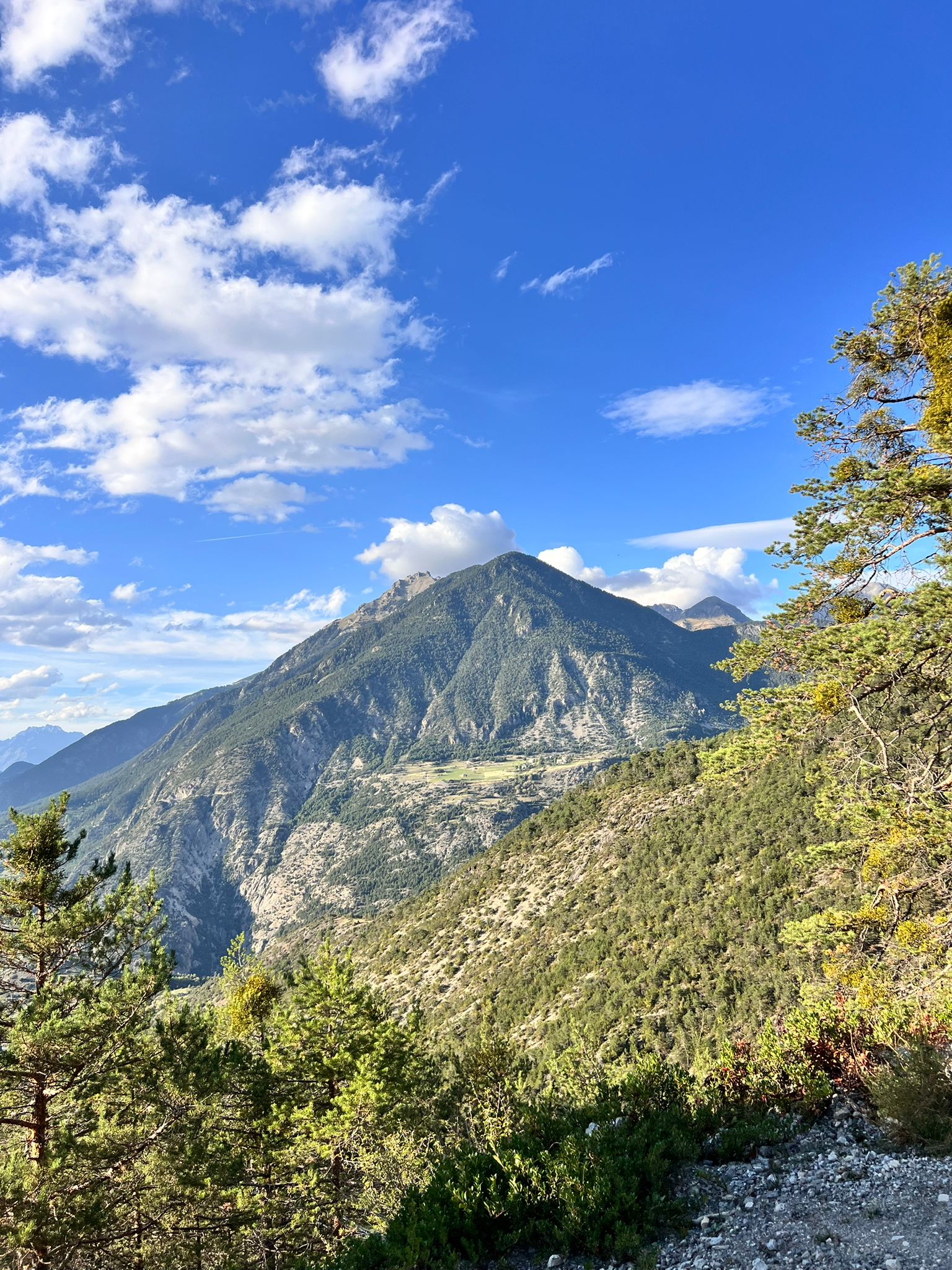 Décoration intérieure
